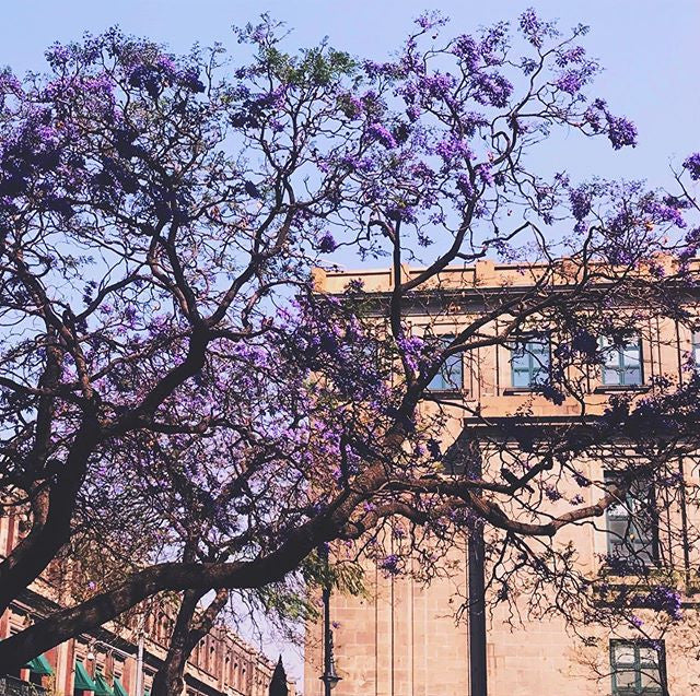 Huipil Jacaranda - imagen 2