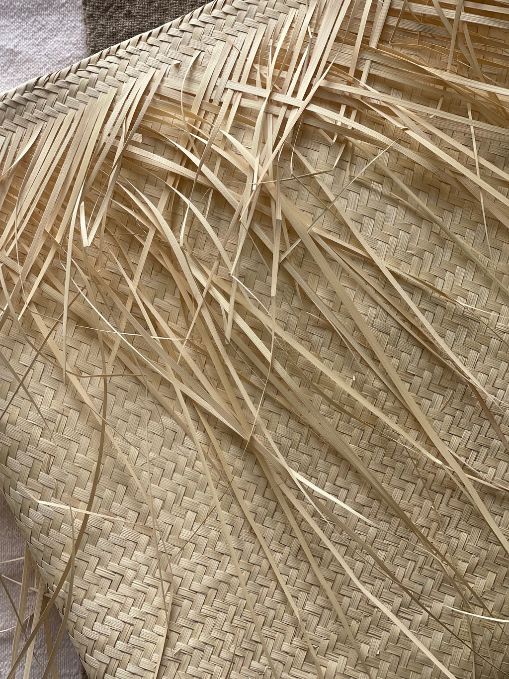 Clutch de Palma Primavera - imagen 2