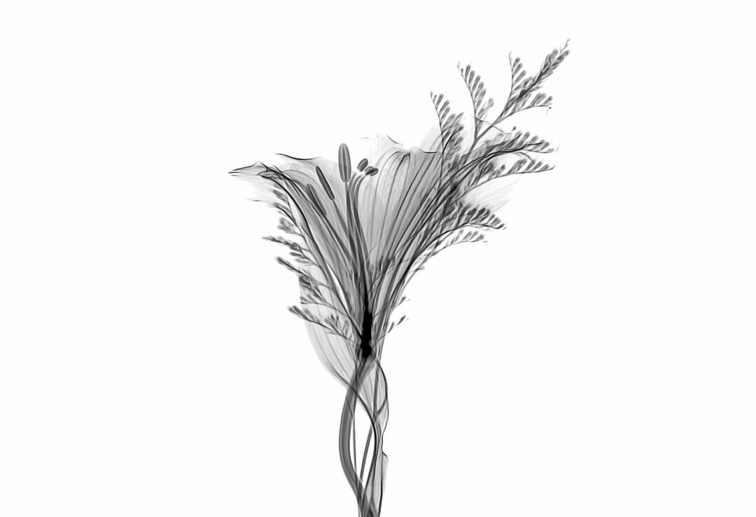 Chaleco Libertad - imagen 2